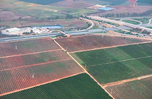 Expropiación forzosa: el justiprecio no debe aceptarse sin un análisis serio